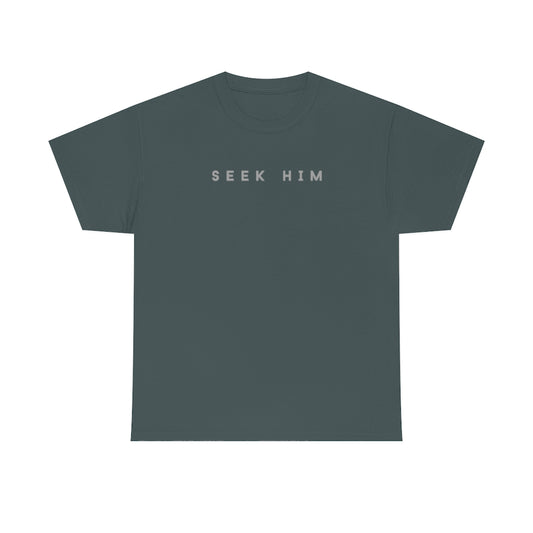 Seek Him - T-shirt (2)