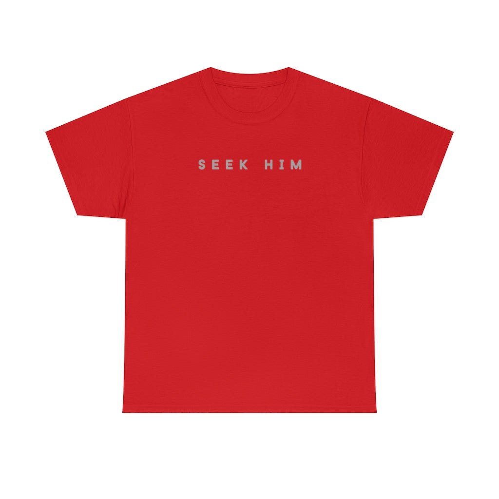 Seek Him - T-shirt (2)